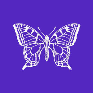 Meet your Posher, Aidanna